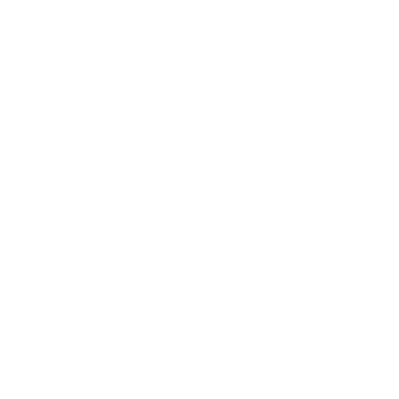 International Wedding Institute