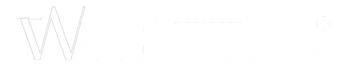 logo wedskills